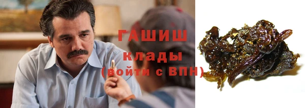 стаф Богородск
