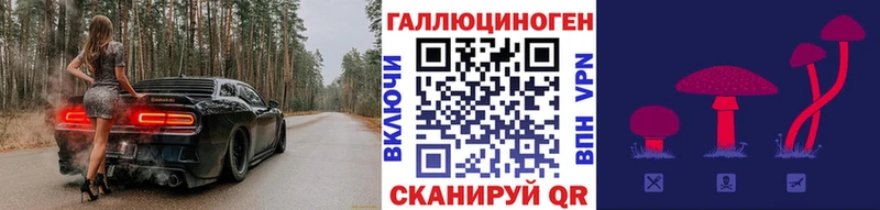 где найти наркотики  darknet какой сайт  Галлюциногенные грибы Psilocybe  Беломорск 